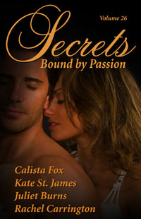 Exes & Ahhs in Secrets Volume 26: BOUND BY PASSION
